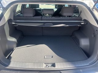 KIA EV3 FWD 81,4kWh Long Range Earth