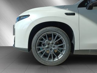 Leapmotor C10 Elektro 70kWh Design