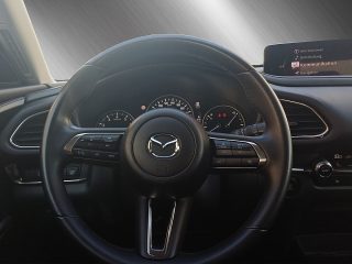 Mazda CX-30 2.0 SKYACTIV-G M Hybrid 150 Homura 2WD (EURO